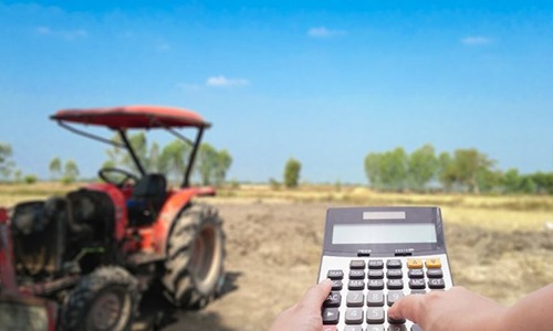 5 dicas sobre gestão financeira de fazendas