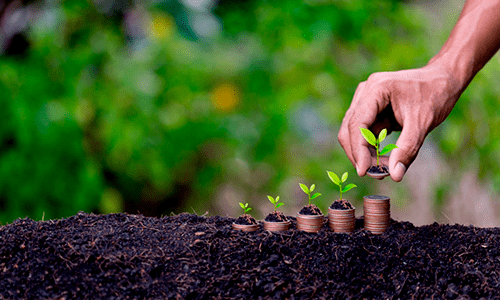 5 dicas sobre gestão financeira de fazendas