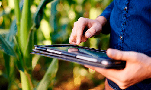 Transformação digital no agronegócio